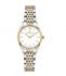 PHILIP WATCH Roma R8253217510
