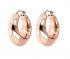 BRONZALLURE Orecchini WSBZ01629.R