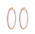 BRONZALLURE Orecchini WSBZ00587.WR