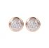 BRONZALLURE Orecchini WSBZ01573.W
