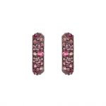 BRONZALLURE Orecchini WSBZ02103.ROSE