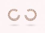 BRONZALLURE Orecchini WSBZ02427.WR