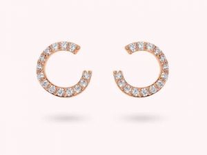 BRONZALLURE Orecchini WSBZ02427.WR