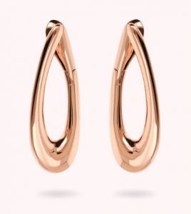 BRONZALLURE Orecchini WSBZ02454.R