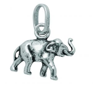 Charm GIOVANNI RASPINI Elefante