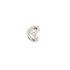 REBECCA Charm Lettera P BWLAZP16